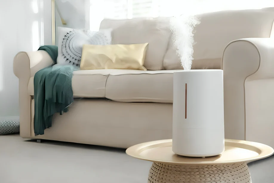 humidifier vs air purifier for seniors Humidifier vs Air Purifier for Seniors: Which Is Better for Health?